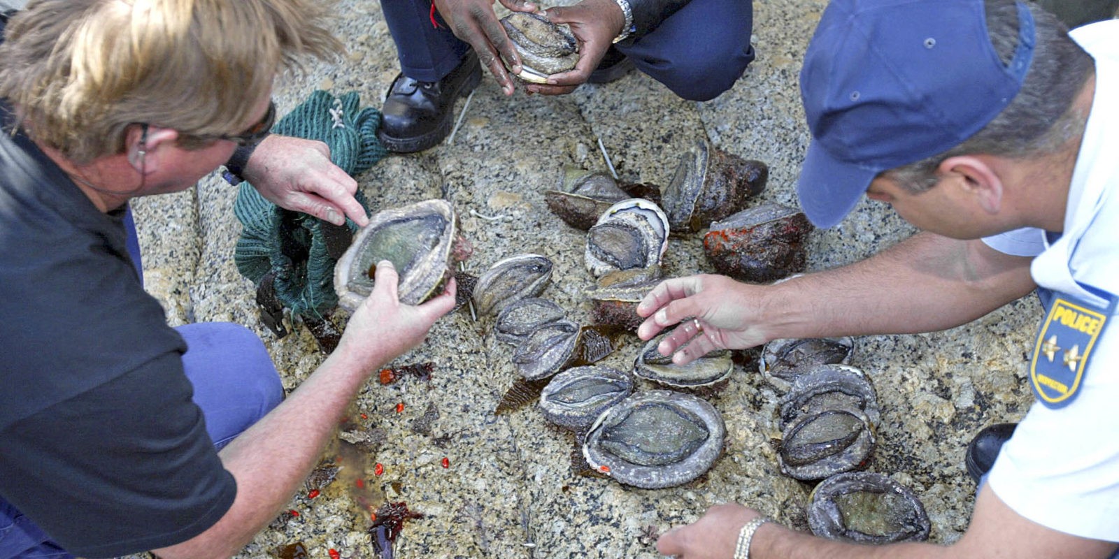 An influx of organised crime, concentrating on abalone poaching, has terrified Overstrand residents and put local police to the test. (Photo: Yunus Mohamed / Gallo)